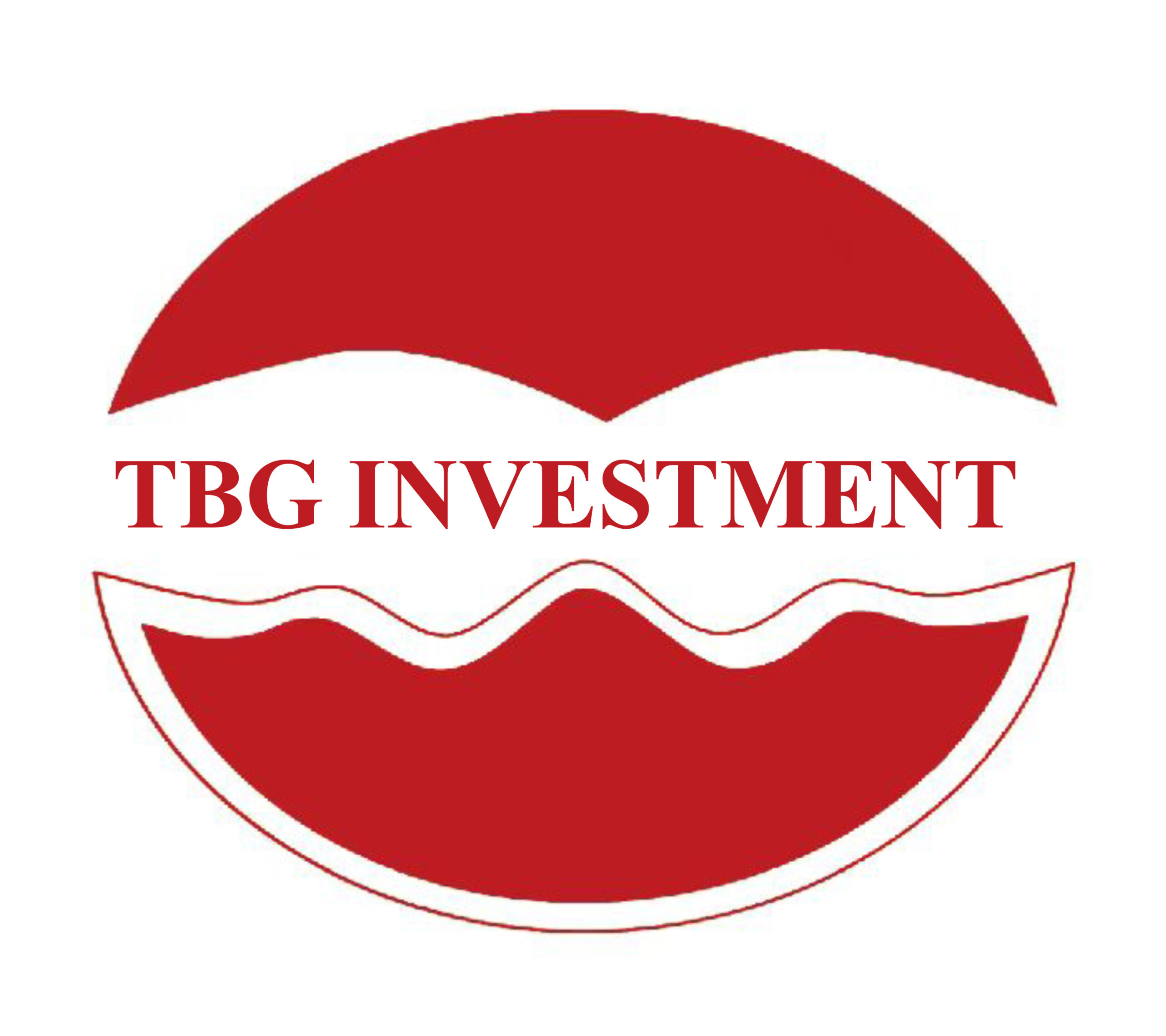 TBG INVESTMENT